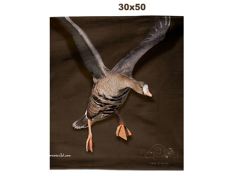 حوله 50*30 طرح غاز